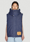 Shop Moncler Genius Dalby Sleeveless Jacket In Blue