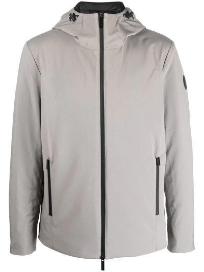 Woolrich Pacific Softshell Windbreaker In Taupe