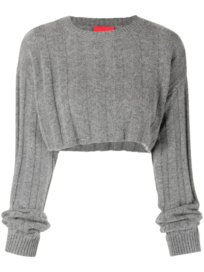Cashmere In Love Remy Cropped Knit Top In Grey