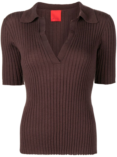 Cashmere In Love Summer Cashmere-blend Polo Top In Brown