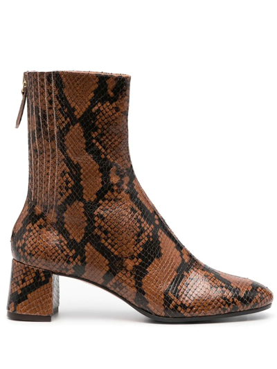 Aquazzura Saint Honore Leather Ankle Boots In Brown