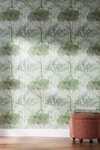 YORK WALLCOVERINGS ORCHARD WALLPAPER