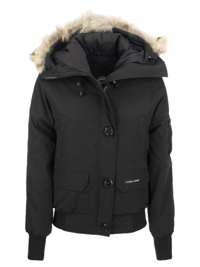 Canada Goose Black Down Chilliwack Bomber Jacket In 61 Black