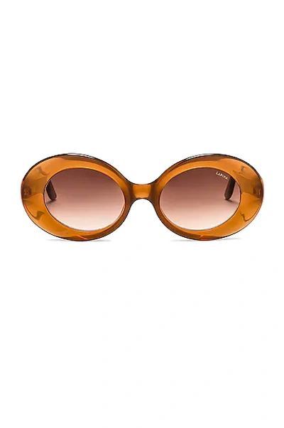 Lapima Gradient Oval Acetate Sunglasses In Amber