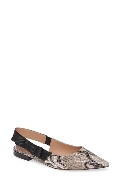 Linea Paolo Darcy Ii Slingback Flat In White/ Black/ Taupe Leather
