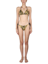 Versace Printed Bikini Top In Multicolor