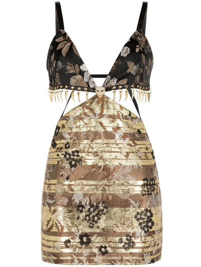 Roberto Cavalli Floral-jacquard Minidress In Brown