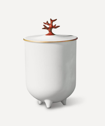 L'objet Coral Candle In White