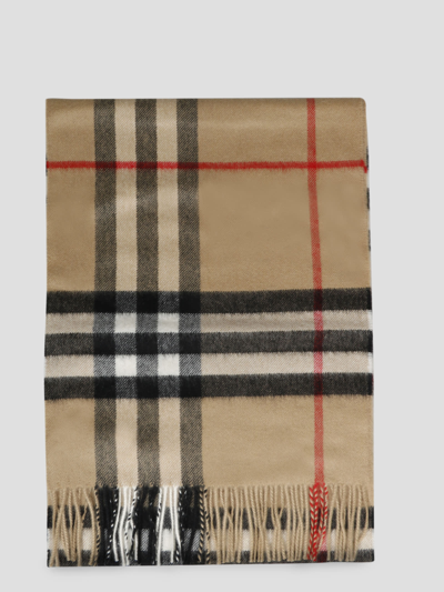 Women's BURBERRY Scarves Sale, Up To 70% Off | ModeSens