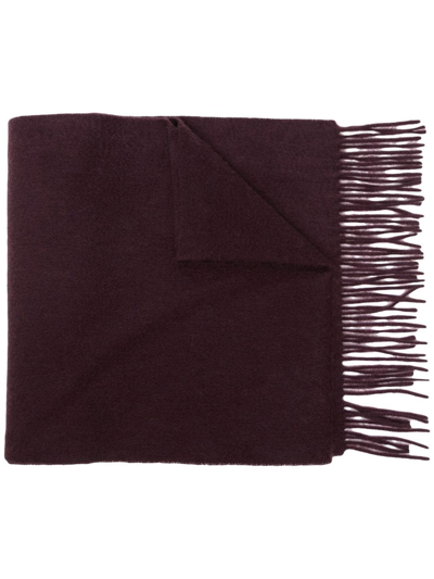 N.peal Fringed Cashmere Scarf In Purple