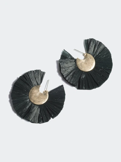 Shiraleah Eden Earrings In Black