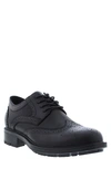 English Laundry Fame Brogue Leather Derby In Black