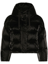 Dolce & Gabbana Coated-finish Puffer Jacket In Black