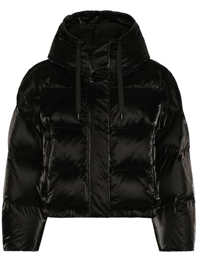 Dolce & Gabbana Hooded Down Puffer Jacket In Black