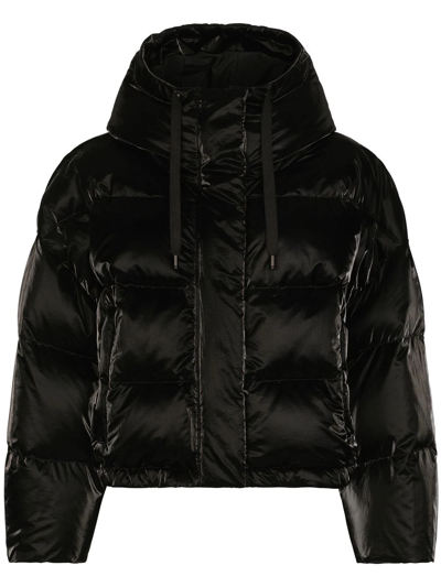 Dolce & Gabbana Coated-finish Puffer Jacket In Black