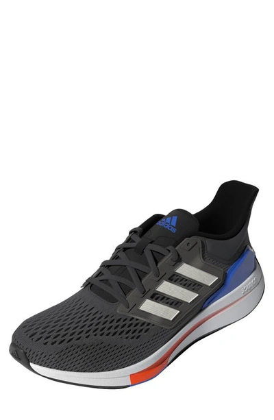 Adidas Originals Eq21 Running Shoe In Carbon/ Off White/ Royal Blue