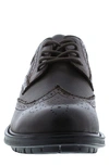 English Laundry Fame Brogue Leather Derby In Brown