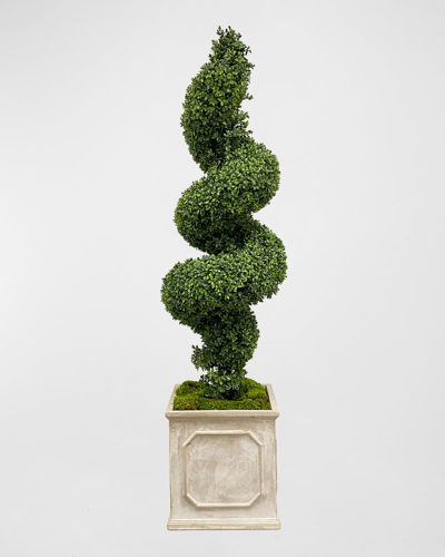Winward Spiral Boxwood Faux Topiary In Square Planter - 65"