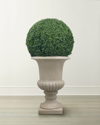 Winward Boxwood Ball In Urn