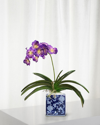 Winward Vanda Faux Orchid In Square Pot