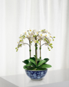 Winward Faux Orchid In Longlife Bowl