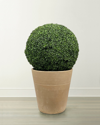 Winward Boxwood Ball In Planter