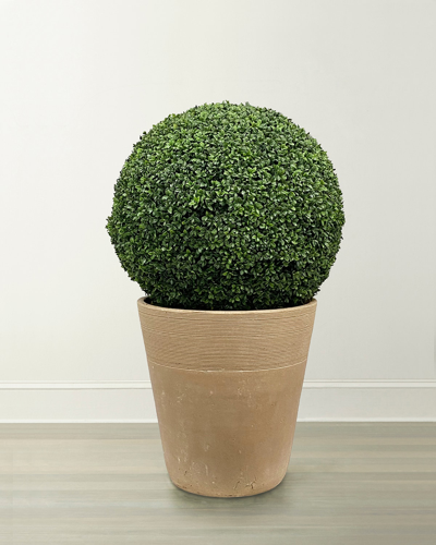 Winward Boxwood Ball In Planter
