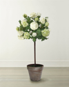 Winward Snowball Flower Tree In Pot