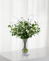 Winward Stephanotis Twig In Vase