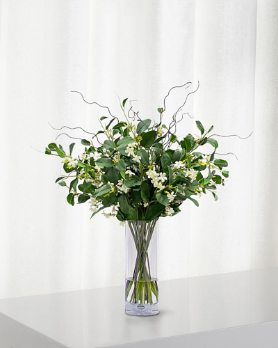 Winward Stephanotis Twig In Vase