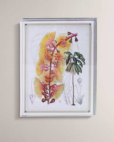 Port 68 Tropical Vii Giclee