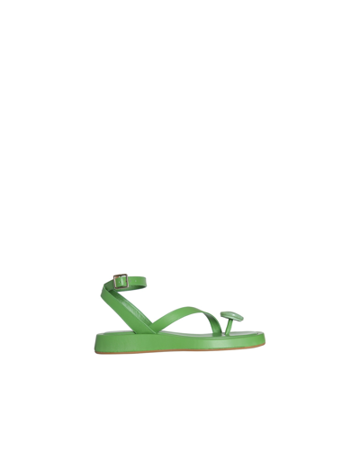 Gia Borghini Giaborghini Flat Thong Sandal Shoes In Green