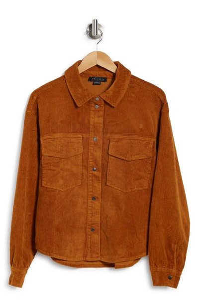 Sanctuary Dakota Corduroy Shacket In Maple