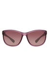 Eddie Bauer 58mm Rectangle Sunglasses In Purple/ Burgundy