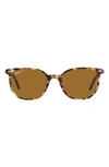 Ray Ban 54mm Polarized Square Sunglasses In Grey Havana