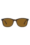Ray Ban 56mm Square Sunglasses In Havana