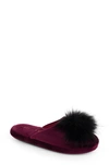 Patricia Green Daisy Slipper In Plum