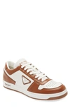 Prada Downtown Logo Low Top Sneaker In Bianco/ Tabacco