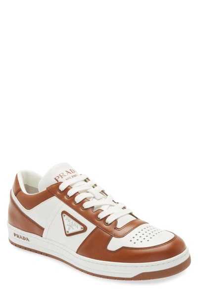 Prada Downtown Logo Low Top Sneaker In Bianco/ Tabacco