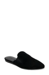 Splendid Women's Liza Pointed Toe Slip On Flats In Black Suede