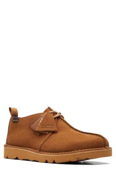 Clarks Desert Trek Gore-tex In Brown