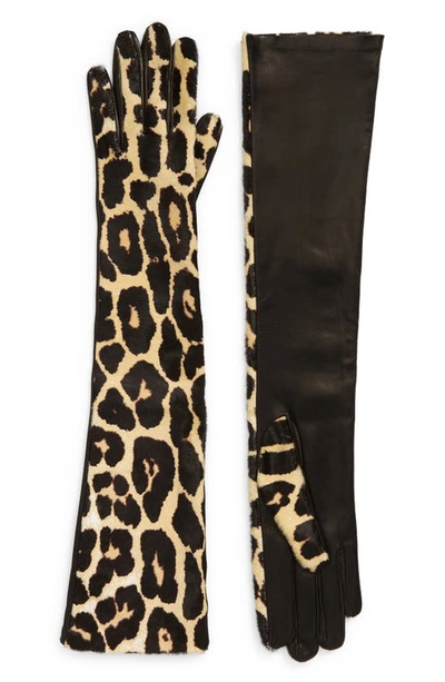 Dries Van Noten Leopard-print Calf Hair Gloves In Beige,brown