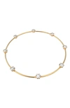 Swarovski Constella  Crystal Goldplated Necklace In White