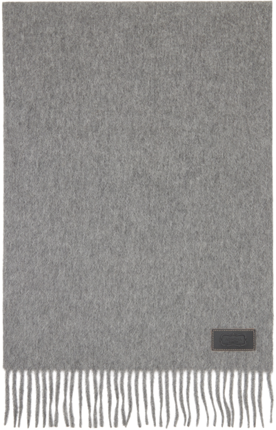 Agnona Gray Cashmere Zibellinato Scarf In K46 Granite