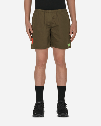 Mister Green Water Shorts In Green