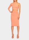 Susana Monaco High-waist Stretch Pencil Skirt In Coho