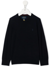 Polo Ralph Lauren Polo Pony Fine-knit Jumper In Blau