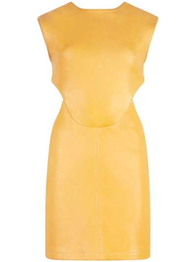Rta Eloisa Mini Dress In Yellow