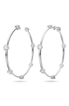 Swarovski Constella Rhodium-plated Crystal Hoop Earrings In Rhodium / White