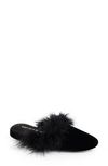 Patricia Green Party Feather Velvet Slipper In Black